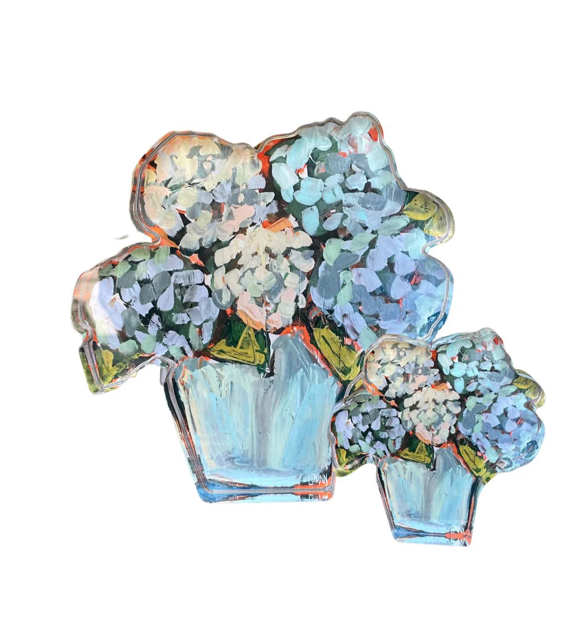 Hydrangea Bitty