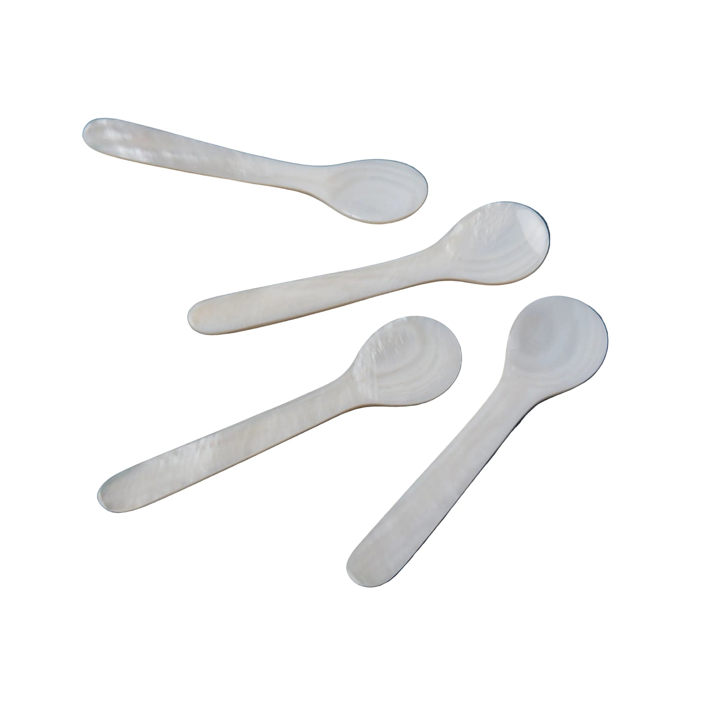 Seashell Spoon