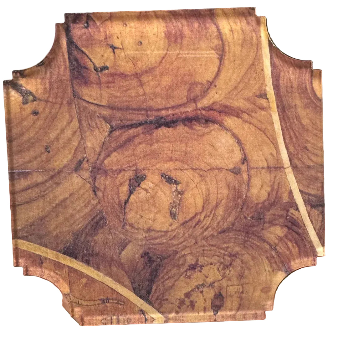 Reprotique Coasters (4)