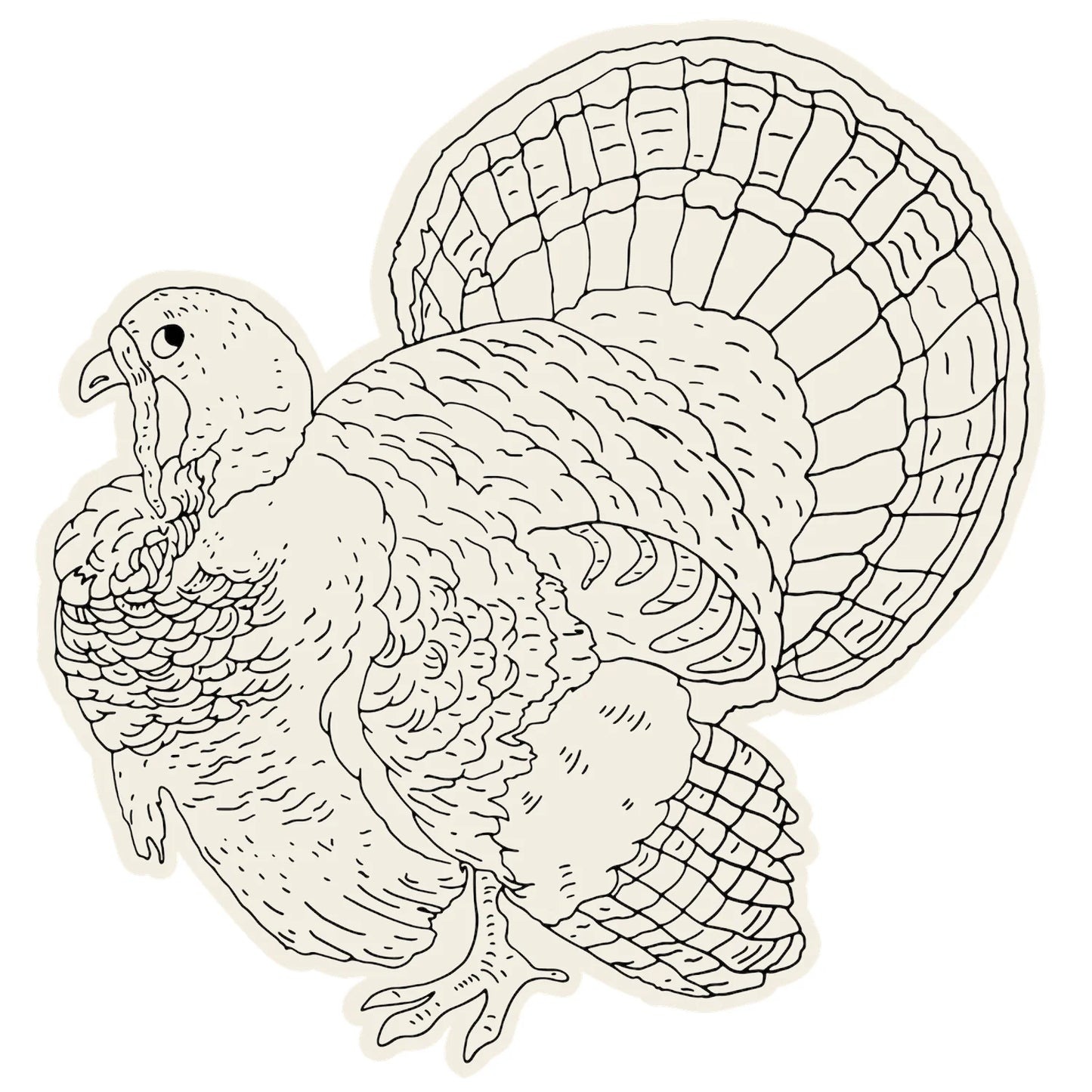 Color Me Turkey Placemats