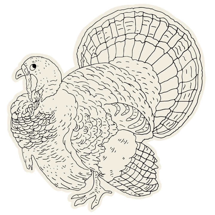 Color Me Turkey Placemats