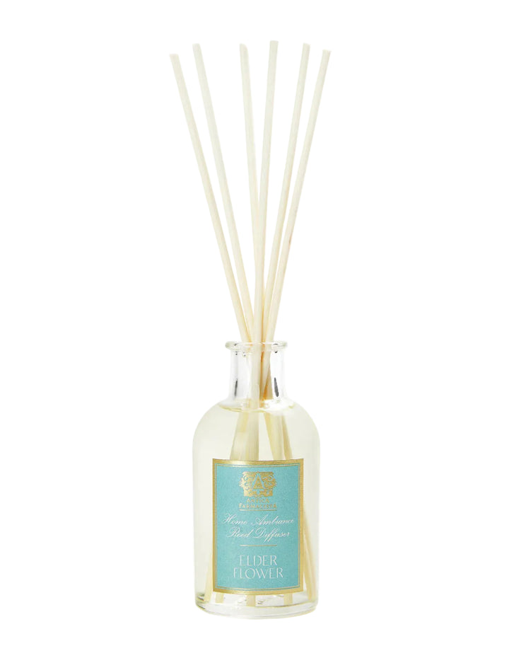 Elderflower by Antica