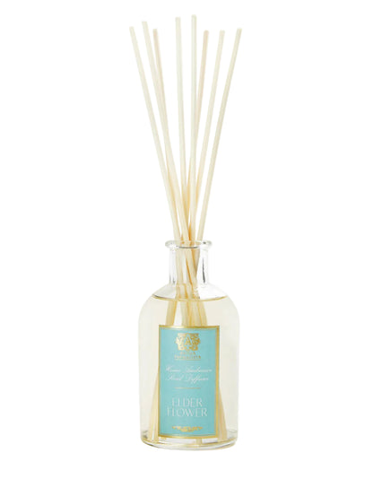 Elderflower by Antica