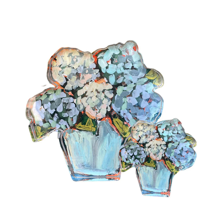 Hydrangea Bitty