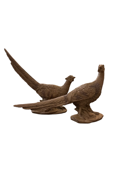 Brown Pheasant