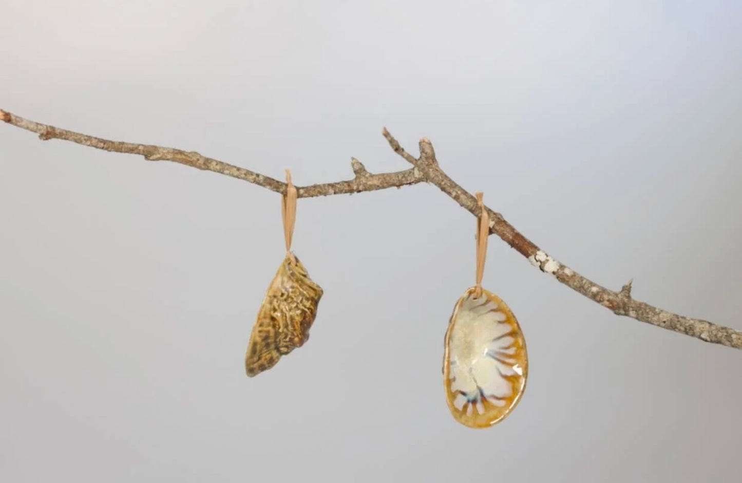 Large Oyster Ornament