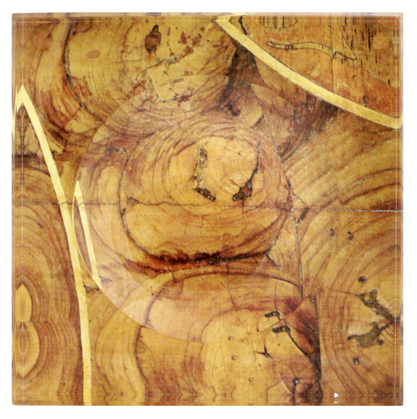 Reprotique Bowl