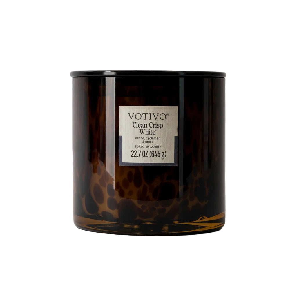 Clean Crisp White Tortoise Candle